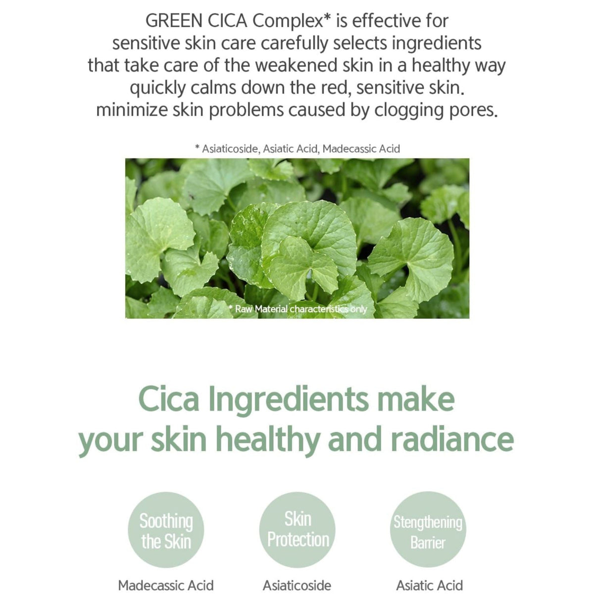 NACIFIC Fresh Cica Plus Clear Toner 150ml - ORION XO Exclusive