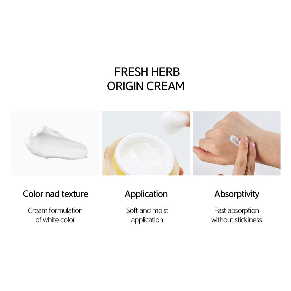 NACIFIC Fresh Herb Origin Cream 50ml - ORION XO Exclusive