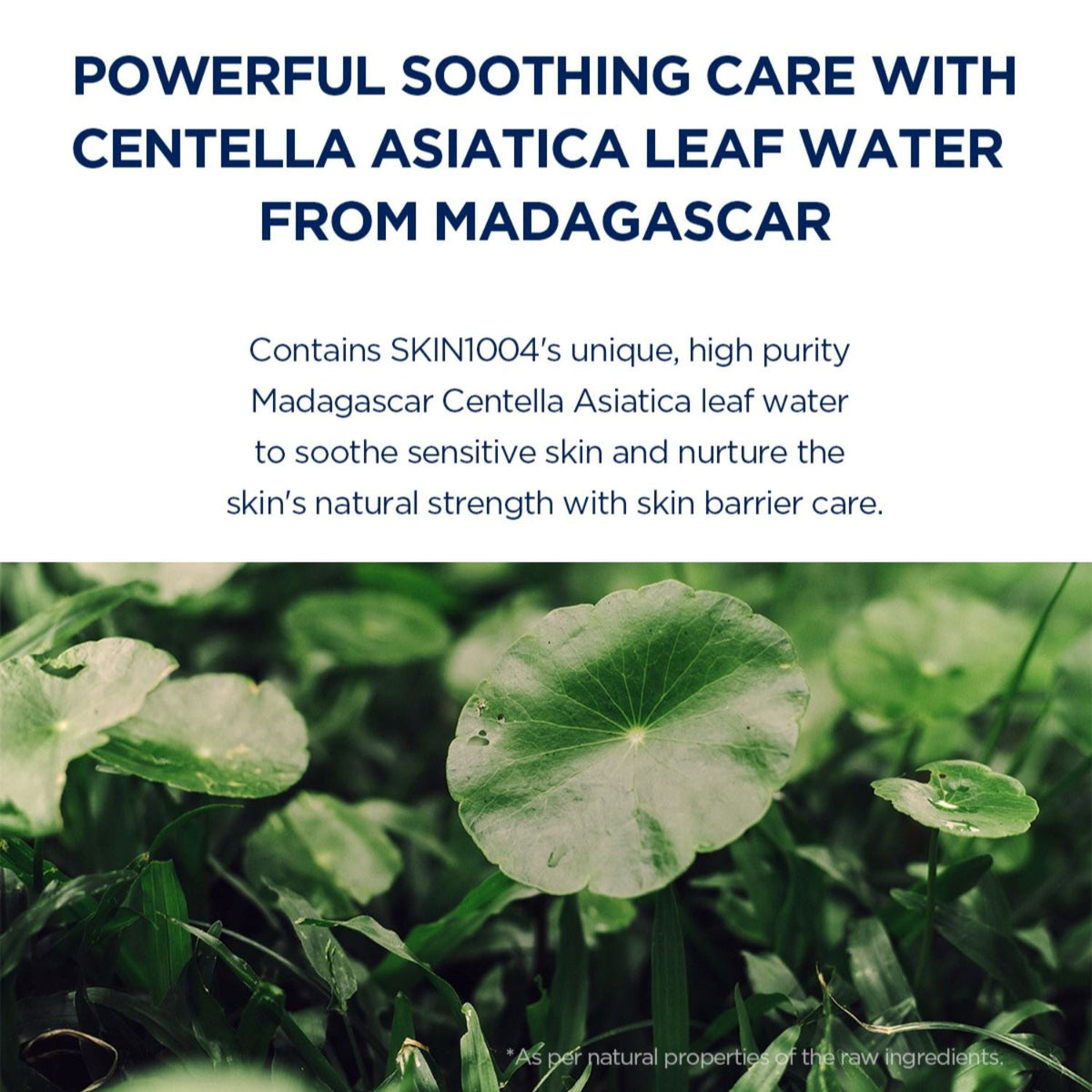 SKIN1004 Madagascar Centella Hyalu-Cica Sleeping Pack 100ml - ORION XO Exclusive