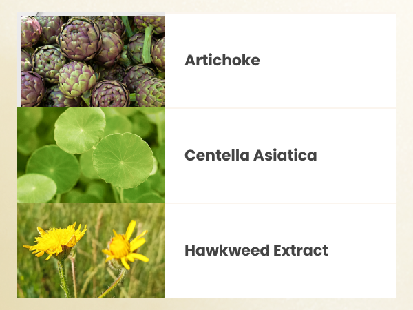 AXIS-Y Artichoke Intensive Skin Barrier Ampoule 30ml