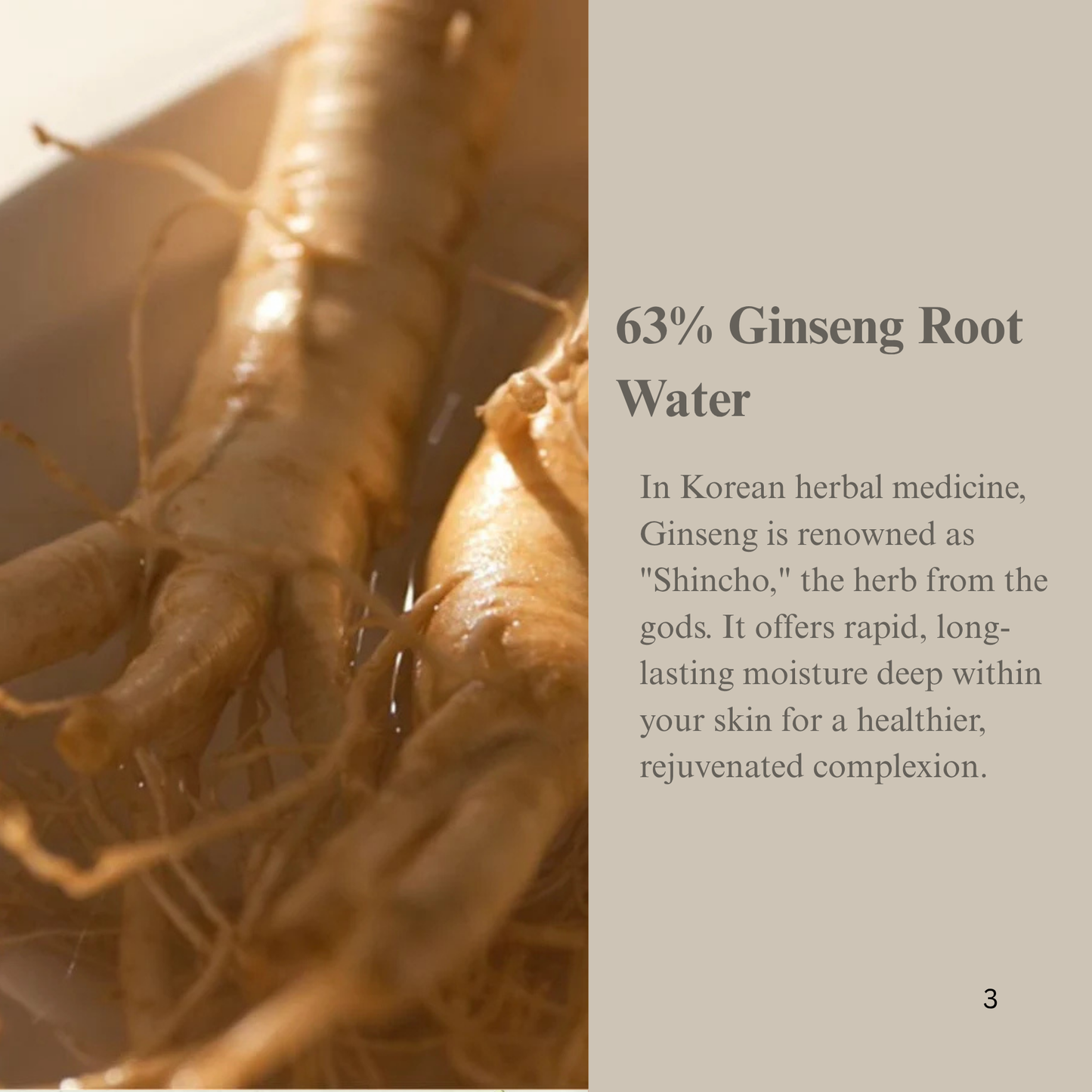 Beauty of Joseon Revive Serum : Ginseng + Snail Mucin 30ml