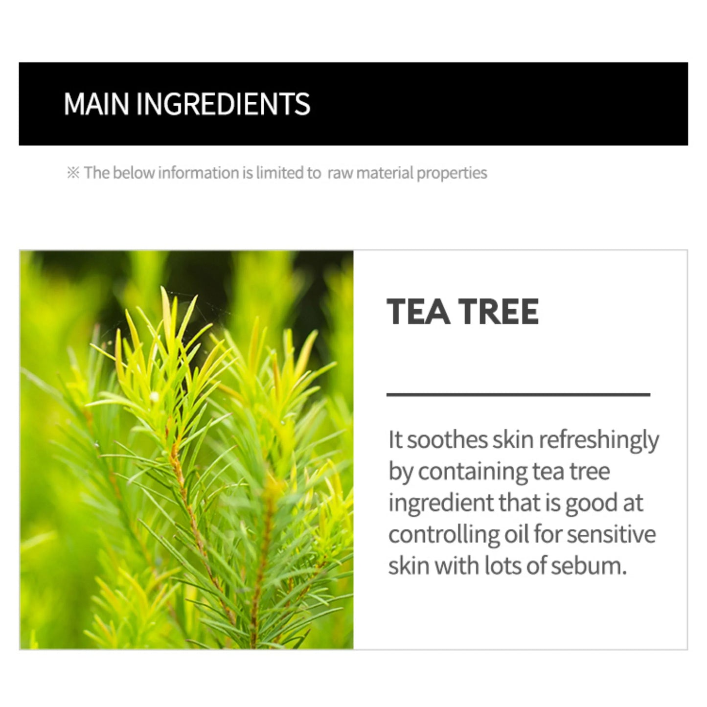 MISSHA Airy Fit Sheet Mask Tea Tree (1EA) - ORION XO Exclusive