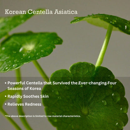 PURITO SEOUL Wonder Releaf Centella Cream Unscented 1ml (Pouch Sample) - ORION XO Exclusive