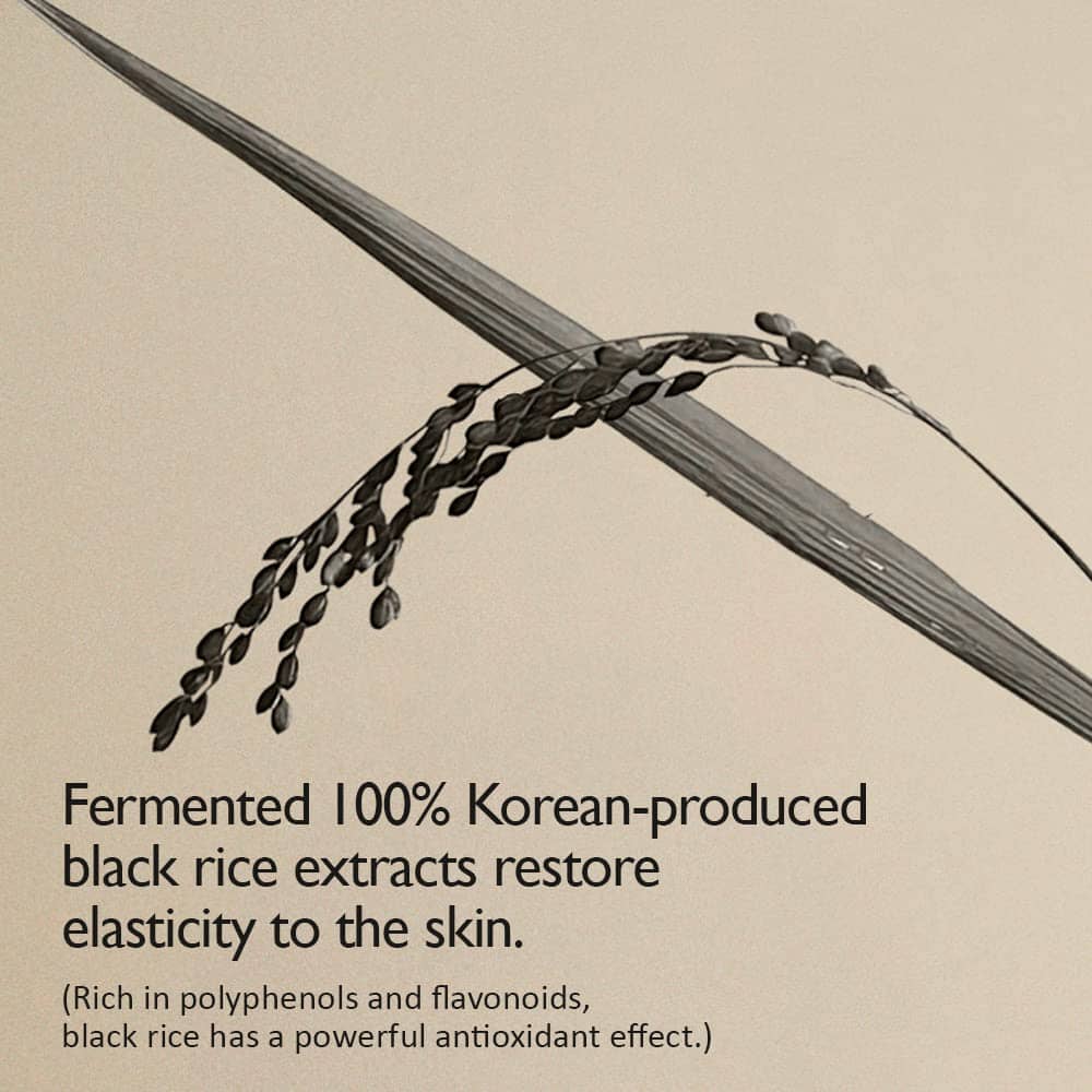 Haruharu WONDER Black Rice 10 Hyaluronic Cream 50ml - ORION XO Exclusive