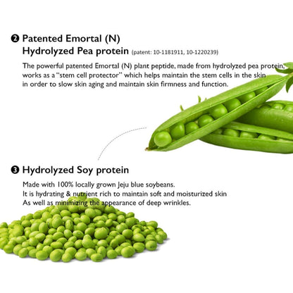 Haruharu WONDER Centella Phyto & 5 Peptide Concentrate-Cream 30ml - ORION XO Exclusive