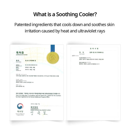 NACIFIC Aloe Tea Tree Soothing Gel 100ml - ORION XO Exclusive