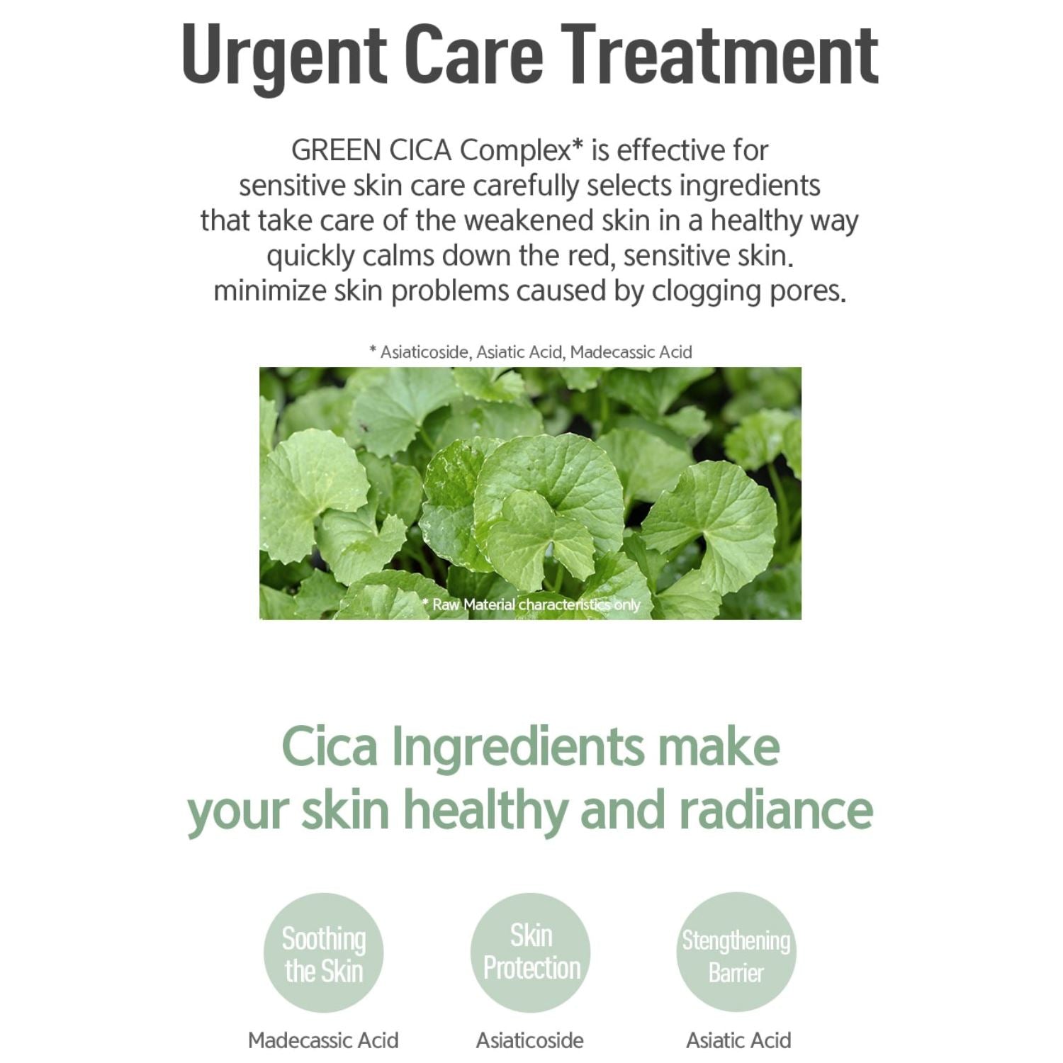 NACIFIC Fresh Cica Plus Clear Serum 50ml - ORION XO Exclusive