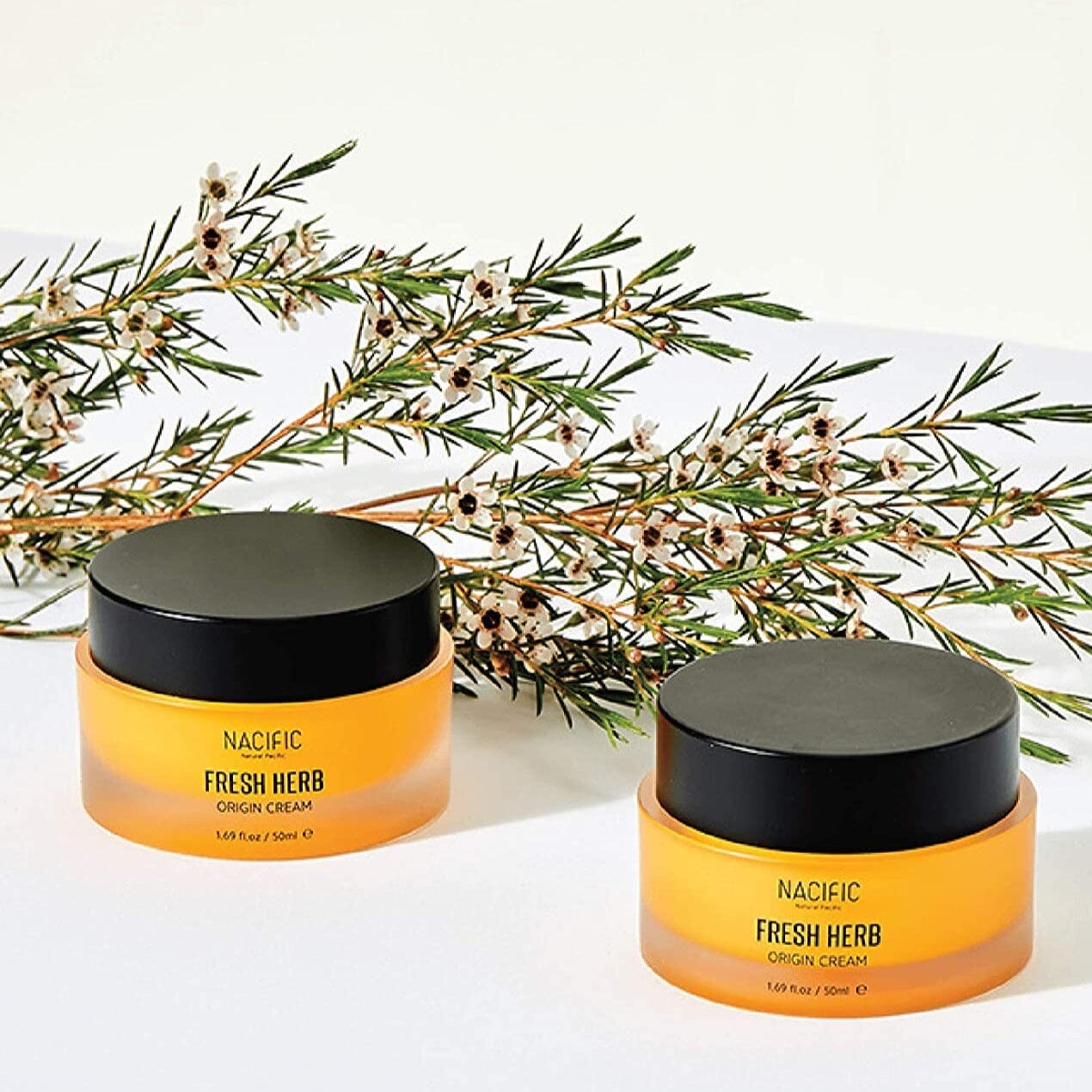 NACIFIC Fresh Herb Origin Cream 50ml - ORION XO Exclusive