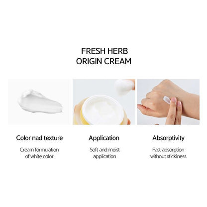 NACIFIC Fresh Herb Origin Cream 50ml - ORION XO Exclusive