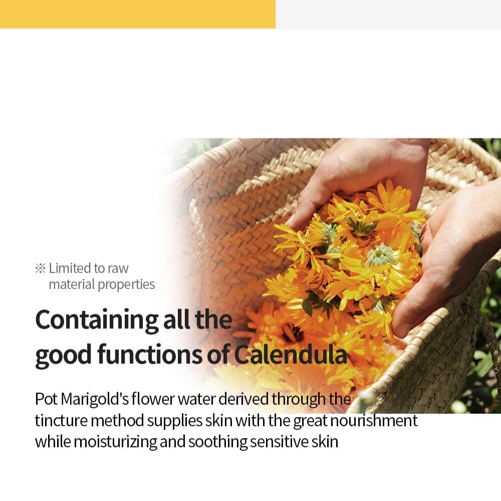 NACIFIC Fresh Herb Origin Toner 150ml - ORION XO Exclusive