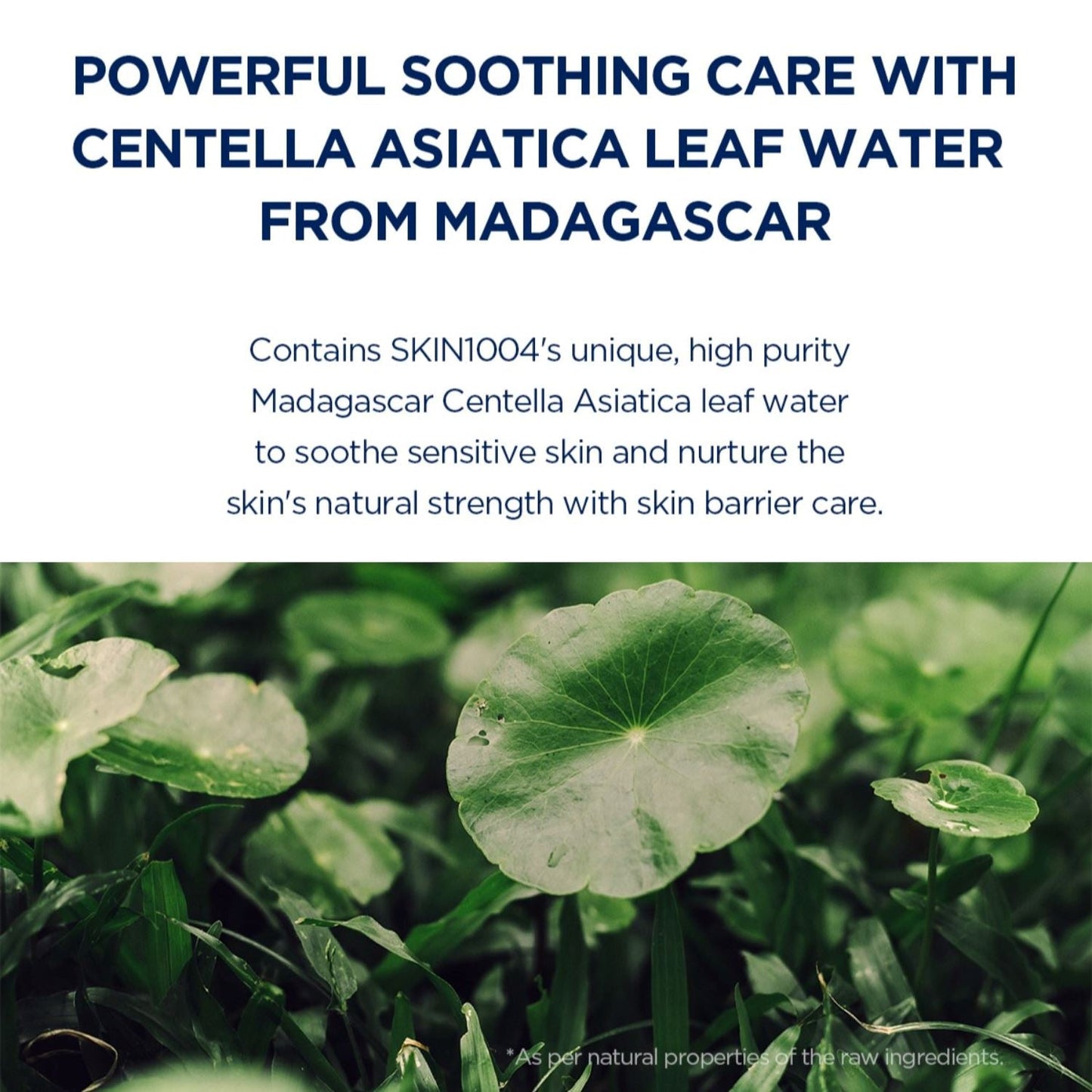 SKIN1004 Madagascar Centella Hyalu-Cica Sleeping Pack 100ml - ORION XO Exclusive