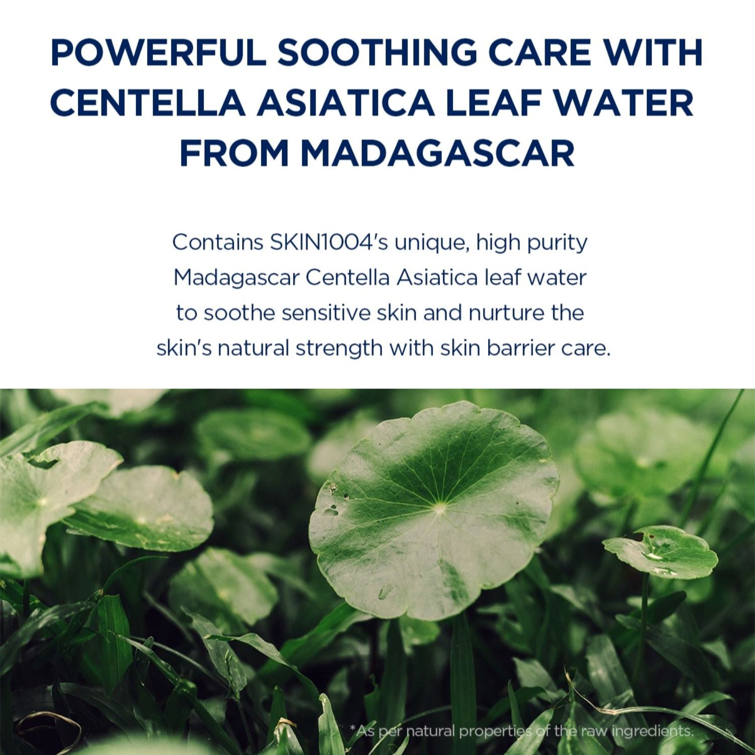 SKIN1004 Madagascar Centella Hyalu-Cica Sleeping Pack 100ml - ORION XO Exclusive