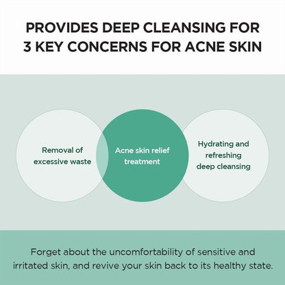 SKIN1004 Madagascar Centella Tea-Trica BHA Foam 125ml - ORION XO Exclusive